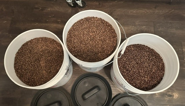 Three white buckets filled with dark brown coffee beans arranged on a dark wood floor, with three black lids placed in front.